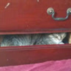 Meet your Posher, Kristina